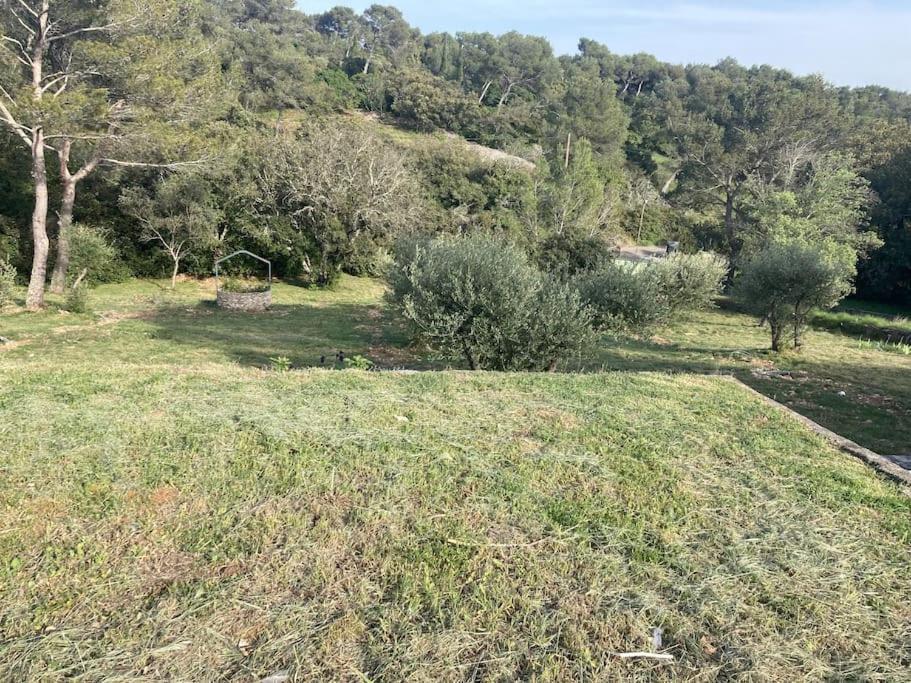 Magnifique Villa De Luxe Au Coeur De La Garrigue 님 외부 사진